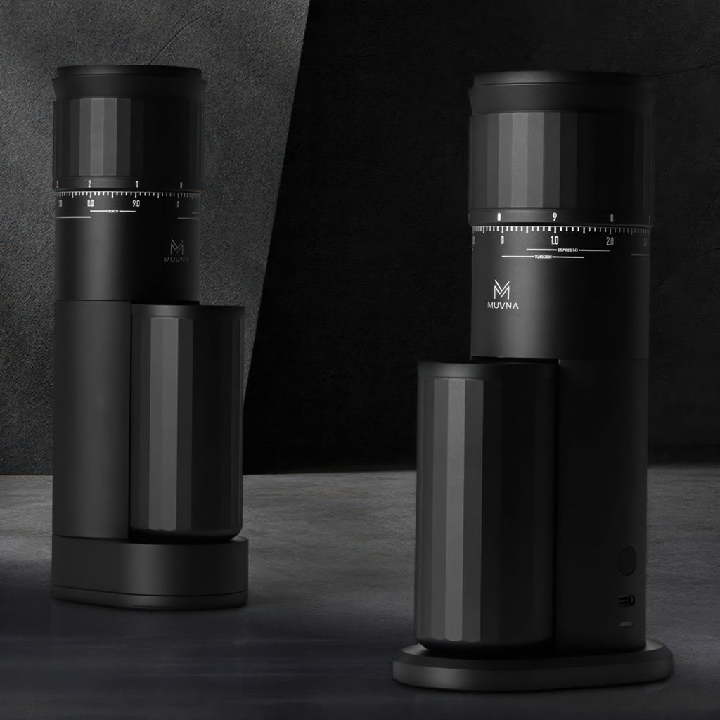 Precision Home Coffee Grinder